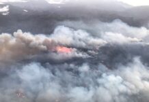 La Junta prohíbe quemar restos vegetales y trabajos con riesgo de incendios desde este domingo