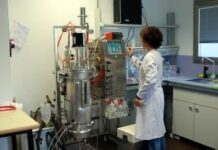 Junta concede ayudas a 7 doctores que desarrollarán proyectos de investigación en la UCLM y en la Fundación Parapléjicos