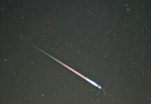 La lluvia de estrellas Leónidas, favorecida por la ausencia de luna