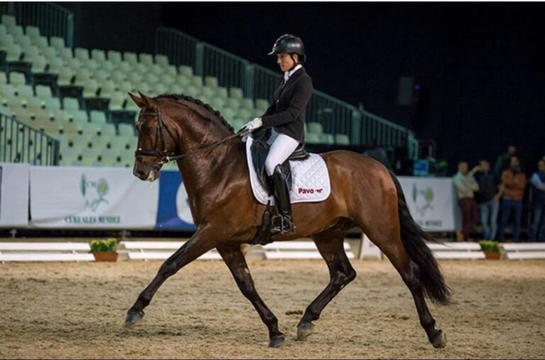 Un caballo criado en Brazatortas se proclama campeón del mundo de doma clásica de pura raza española