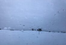 Este lunes mínimas en descenso y heladas generalizadas