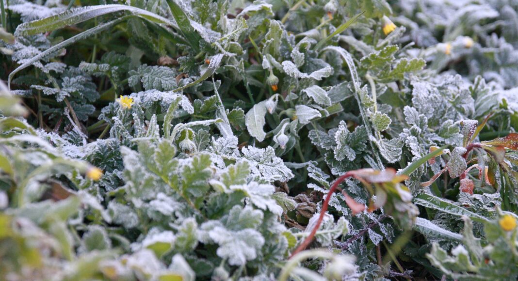 Frio, El Tiempo, Hielo helada