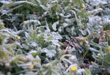 La ola de frío pondrá este domingo en aviso a toda Castilla-La Mancha por bajas temperaturas