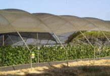 Este martes se abre la convocatoria de ayudas a la modernización y transformación de regadíos