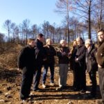 El Gobierno central invertirá 206.000 euros para minimizar los efectos del incendio de Campillo de Altobuey