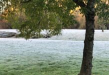 Temperaturas máximas sin cambios y heladas generalizadas