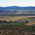La Junta oficializa en el DOCM la denegación del proyecto de tierras raras a Quantum Minería en Ciudad Real