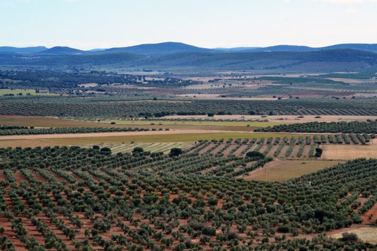 La Junta oficializa en el DOCM la denegación del proyecto de tierras raras a Quantum Minería en Ciudad Real