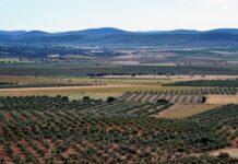 Junta aprobará en seis meses el Decreto de delimitación geográfica de zonas prioritarias