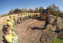 Junta fomenta la formación de los profesionales de incendios forestales