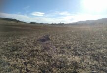 Atraco y saqueo al Embalse de Entrepeñas