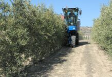 Las prioridades de Cooperativas Agro-alimentarias ante la PAC