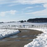 Interrumpidas 40 rutas escolares con 600 alumnos afectados en toda Castilla-La Mancha