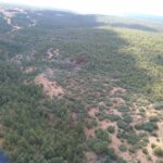 Las ayudas a ‘montes de socios’ para identificar a sus propietarios reciben 28 solicitudes entre Guadalajara y Cuenca