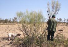 El PP no está nada satisfecho con la ley de Caza de la Región y la enmendará por completo