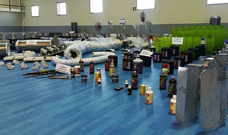 [VÍDEO] Siete detenidos con 3.000 plantas de marihuana en Toledo