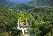 Caen en picado los datos de las pernoctaciones hoteleras y de viajeros en enero en Castilla-La Mancha