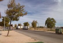 El Gobierno de Castilla-La Mancha destaca que nunca antes se había destinado más dinero a los jóvenes agricultores y ganaderos que hoy