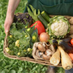 El Gobierno de C-LM entregará en Tomelloso el premio a la mejor industria ecológica