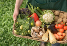 El Gobierno de C-LM entregará en Tomelloso el premio a la mejor industria ecológica