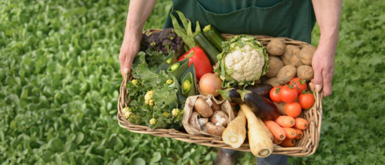 Una marca conquense ecológica, entre las 500 empresas más inspiradoras del mundo en AgriFoodTech