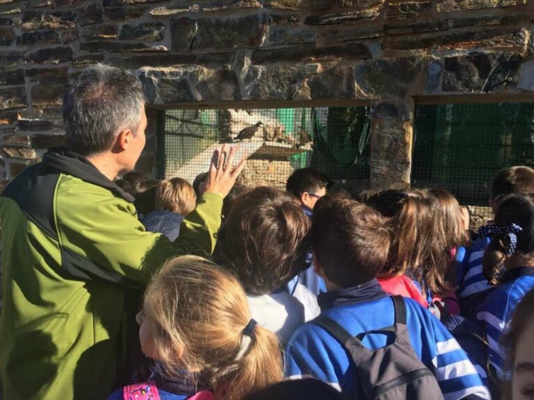 Abierto al público el centro de aves rapaces de Sevilleja de la Jara
