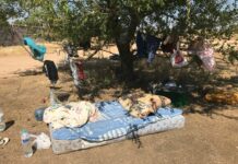 CCOO pide una Mesa por la Inmigración para dar una solución definitiva a los problemas de las y los trabajadores temporeros