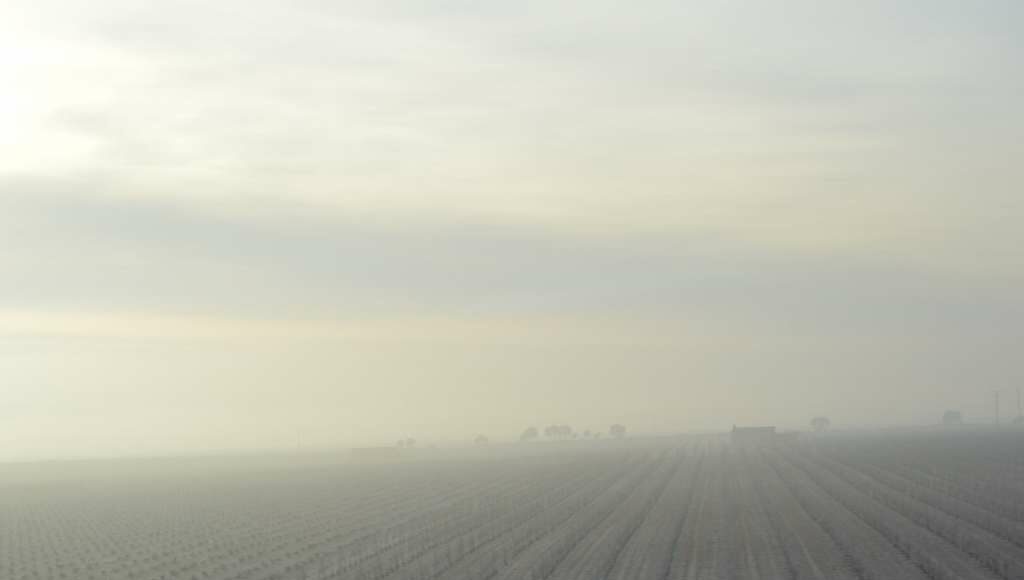 El Tiempo-Niebla (2)