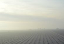 Estas han sido las provincias de Castilla-La Mancha más afectadas por el temporal de nieve