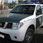 Investigadas tres personas por capturar ilegalmente 600 palomas de la especie bravía en Valdepeñas