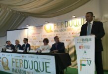 ¿Qué actividades nos traerá FERDUQUE?