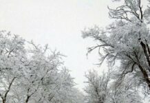 ?❄️ Última hora del temporal en Castilla-La Mancha