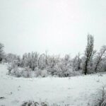 Alerta amarilla por nieve en Ciudad Real y Albacete este domingo