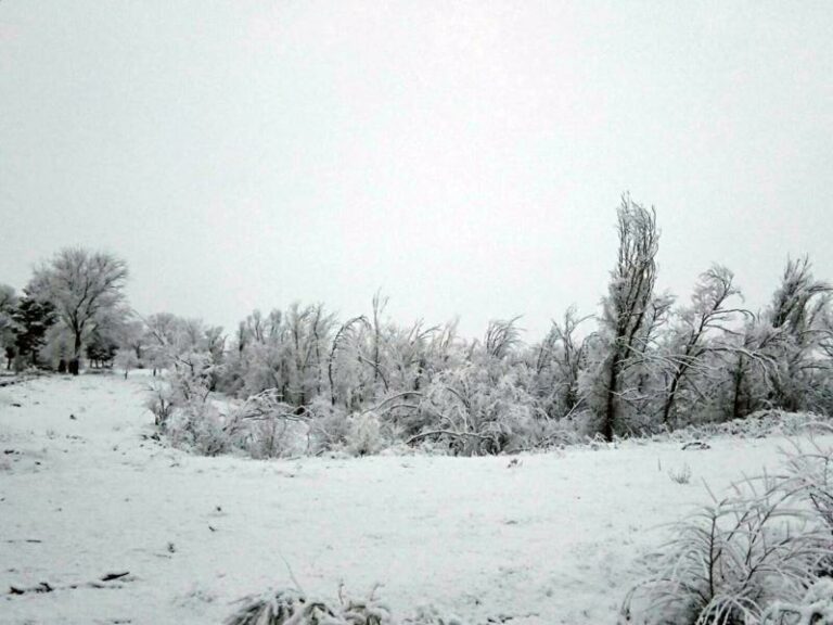 Alerta amarilla por nieve en Ciudad Real y Albacete este domingo