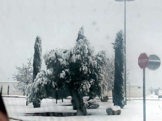 [FOTOS] Castilla-La Mancha amanece cubierta de nieve