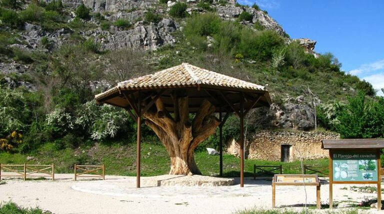 Reinventar el turismo rural: la interesante propuesta de un pueblo de la sierra de Albacete