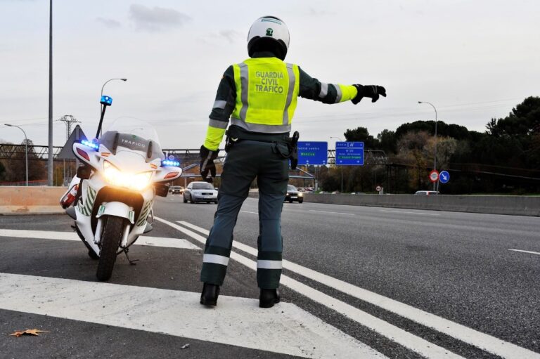 Susto tras volcar un camión que transportaba cerdos vivos en Villar de Olalla (Cuenca)