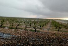 Previsión meteorológica para este lunes en Castilla-La Mancha: chubascos, tormentas y mínimas con pocos cambios
