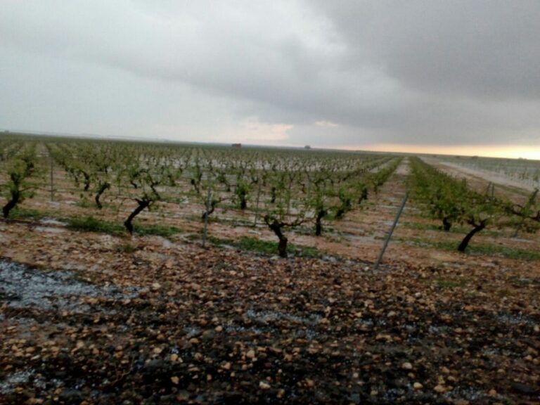 Este domingo en Castilla-La Mancha: chubascos y tormentas que localmente pueden ser fuertes Este domingo en Castilla-La Mancha: chubascos y tormentas que localmente pueden ser fuertes