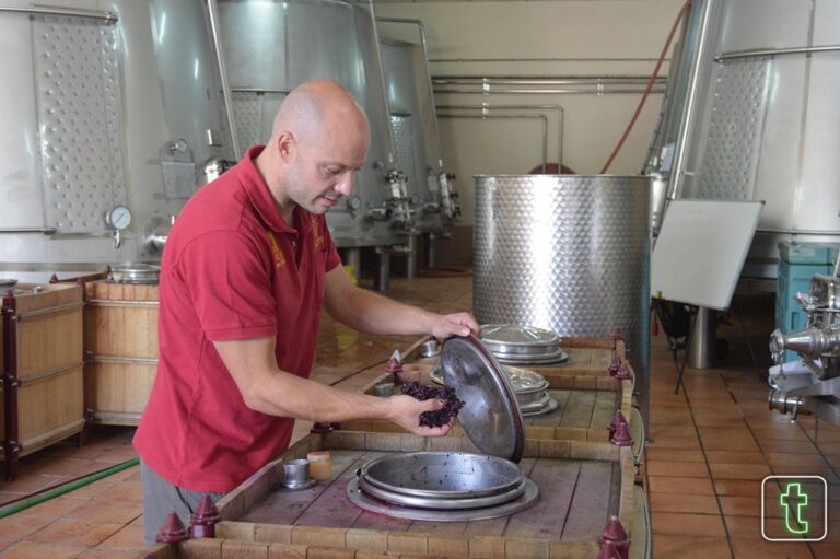 Bodegas Verum de Tomelloso representa a Castilla-La Mancha en el IX simposio de master of wine