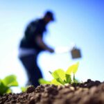 ASAJA Ciudad Real valora “muy positivamente” el mantenimiento del sistema tributario de módulos para agricultores y ganaderos