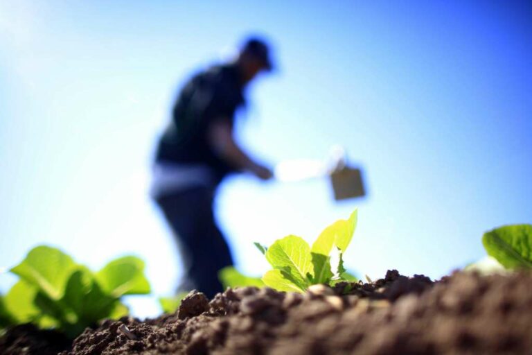 ASAJA Ciudad Real valora “muy positivamente” el mantenimiento del sistema tributario de módulos para agricultores y ganaderos