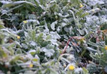 Este viernes alerta amarilla en Albacete, Ciudad Real y Guadalajara