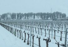 Este martes en Castilla-La Mancha: precipitaciones débiles y nieve entre 300 y 500 metros