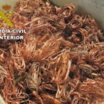 26 detenidos por el robo de 10 toneladas de cobre, también en Toledo y Ciudad Real