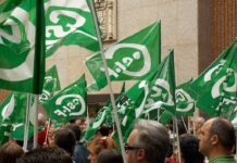 CSIF denuncia el maltrato que padecen unos colectivos esenciales en la atención a niños con necesidades educativas especiales