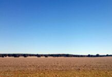 Cielos despejados y temperaturas mínimas en aumento, hoy en Castilla-La Mancha