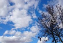 Este lunes en Castilla-La Mancha: cielos poco nubosos y temperaturas en aumento
