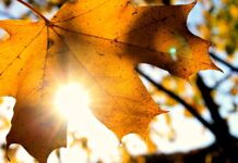 El tiempo en Castilla-La Mancha mañana martes 21 de noviembre