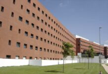 Oncólogos clínicos de C-LM analizan hoy los últimos avances en el manejo del cáncer de pulmón